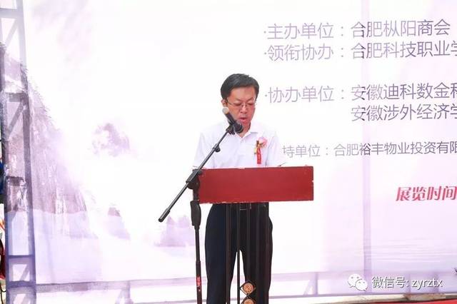 枞阳县杨如松县长讲话