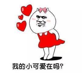 撩小可爱的表情包合集|我的小可爱在吗