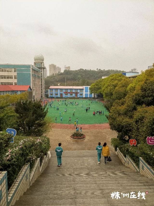 430附近的八达小学