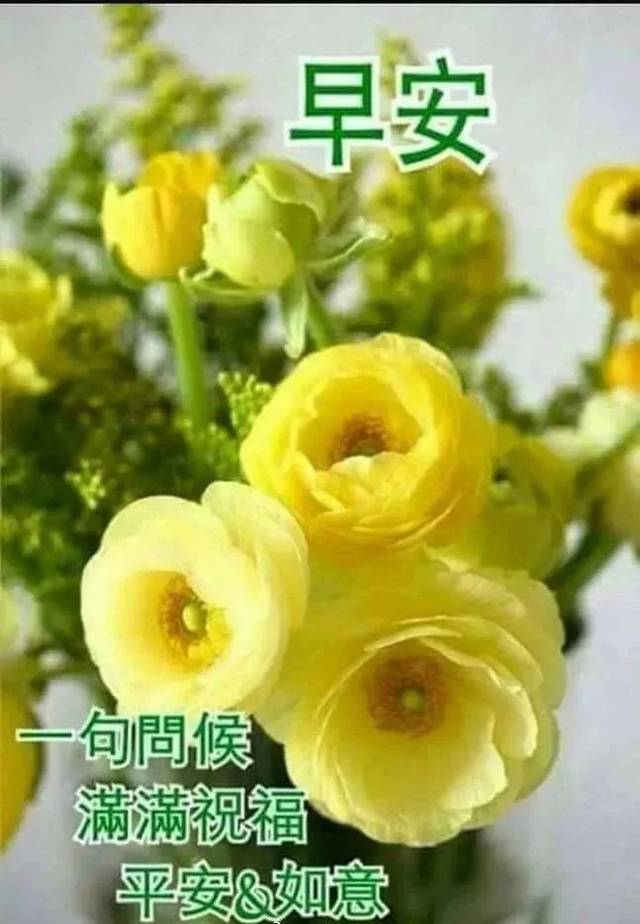 2019最新版漂亮鲜花早上好美图,朋友圈温馨早上好问候暖心语录