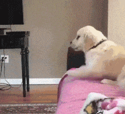 搞笑gif:妹子的表情,亮啦!