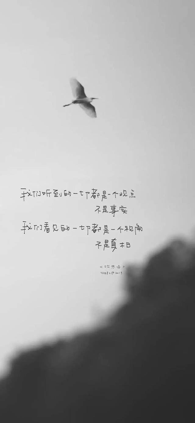 文字壁纸丨老子最酷!