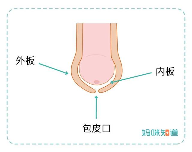 低于这个年龄先别动!