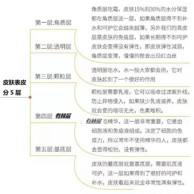 地分为 表皮层,真皮层和皮下组织, 而我们日常护肤作用的就是表皮层