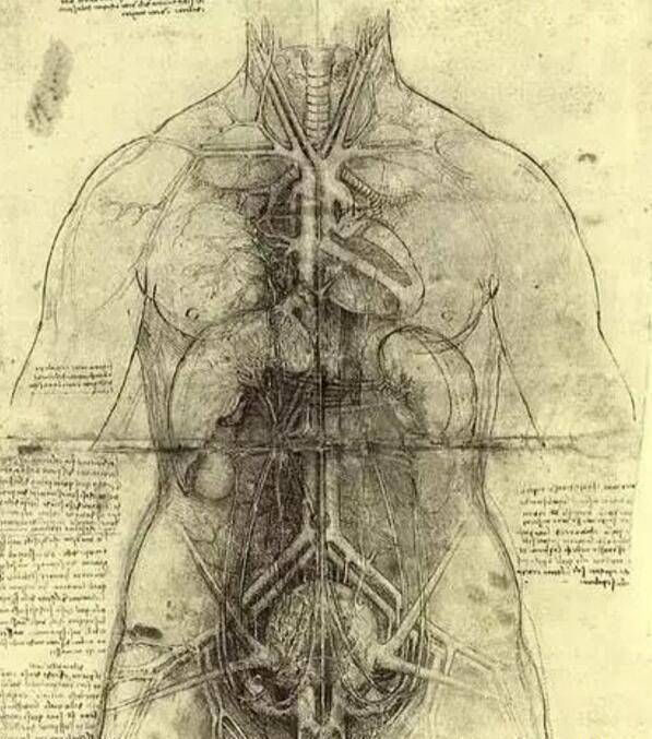 达芬奇传说是未来的人,达芬奇穿越的证据曝光