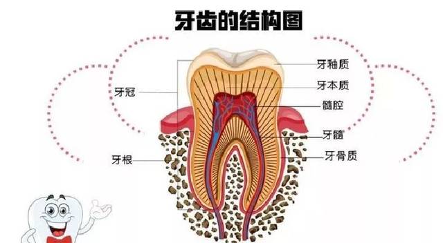 为什么有牙洞了不补，要做根管治疗呢?