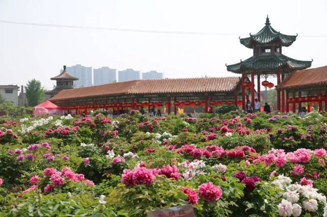 70年,菏泽!