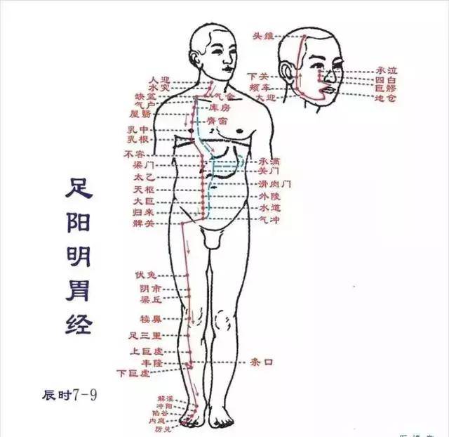 兰鑫堂:为什么要定期疏通经络?