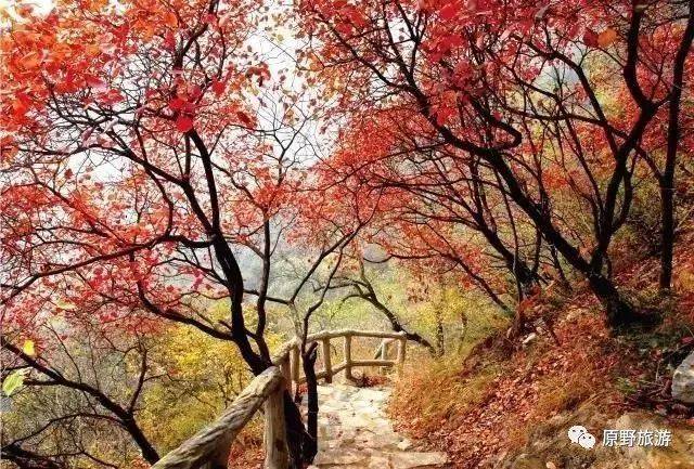 皇藏峪玻璃栈道,品小鸡炖蘑菇:皇藏峪森林公园,玻璃观景台,天门寺一