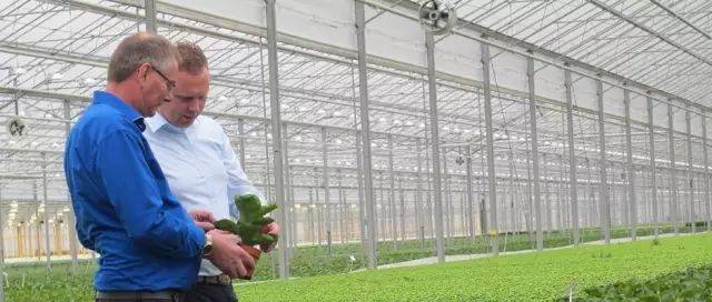 欧洲农业特色小镇:德国、荷兰、比利时的特色