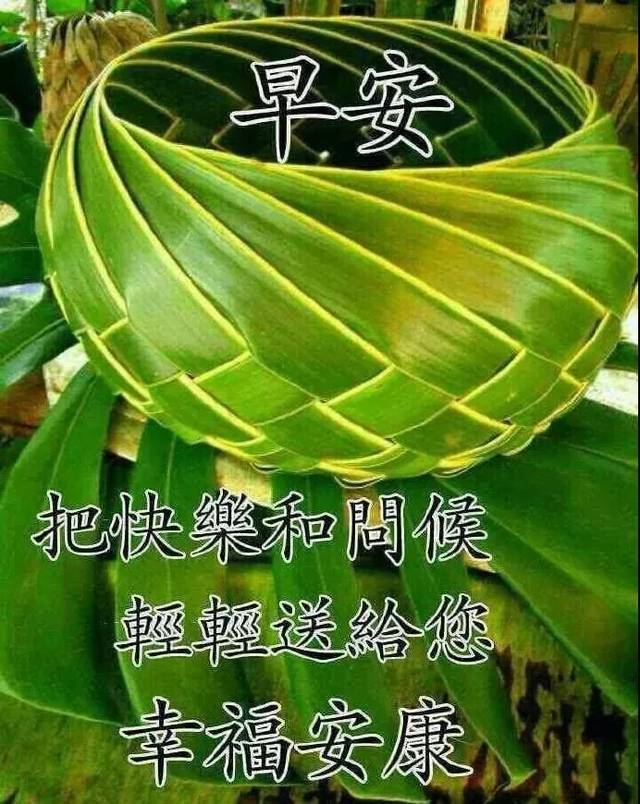 漂亮好看的早上好动态美图鲜花带字,早晨好幸福暖心的
