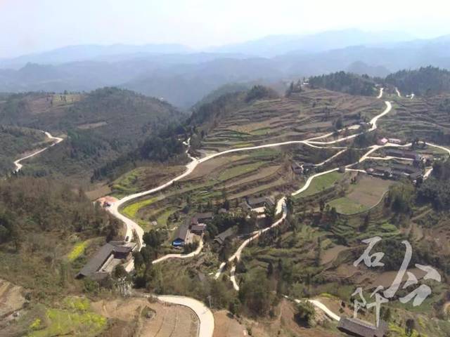 河坝镇美星村