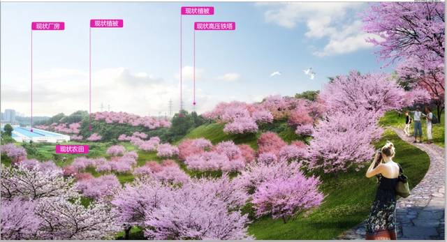 桃花山公园效果图