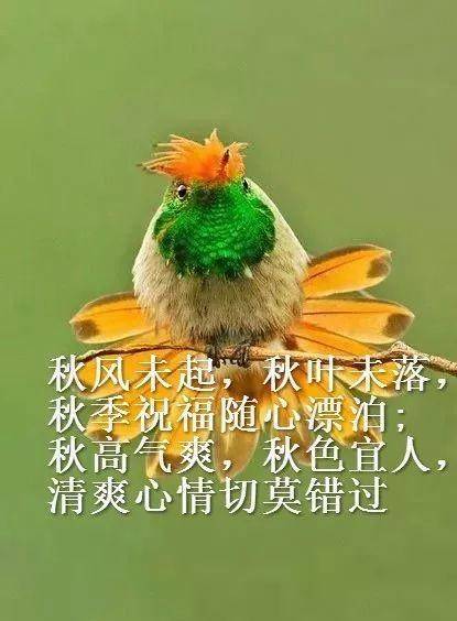 早上好秋天唯美问候表情图片大全早安秋天带字温馨祝福语