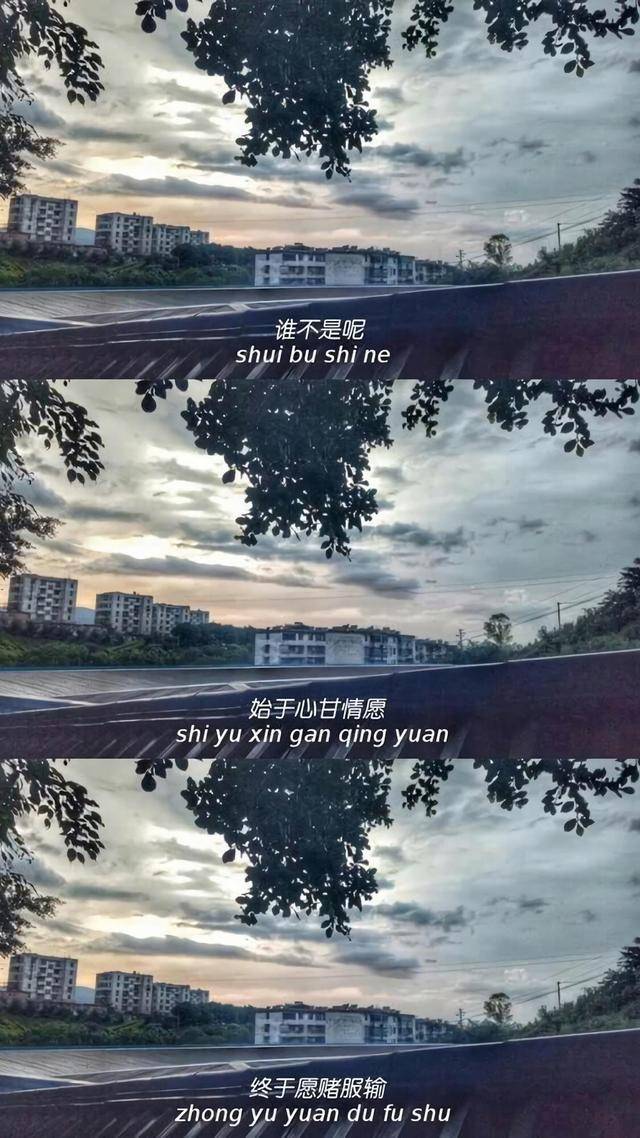 壁纸,抖音最火三格拼接壁纸