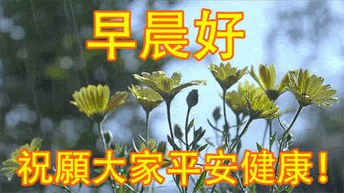 有一份祝福是我最大的心愿,祝你早安午安晚安一生平安