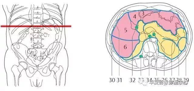 腹部ct分层读片(值得收藏!)