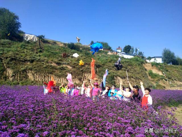走进兰州皋兰山看花海