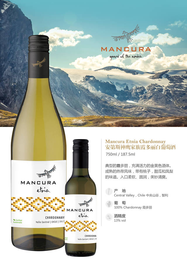 智利知名酒庄安第斯神鹰mancura