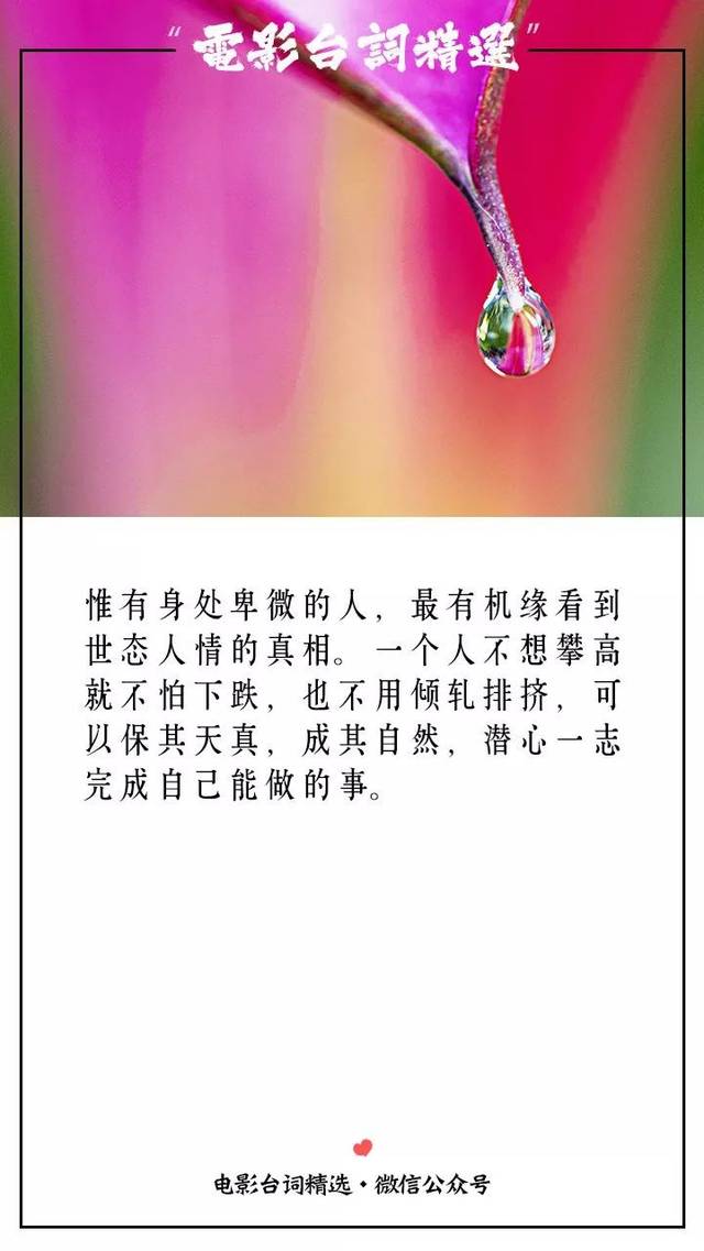 人生最曼妙的风景,是内心的淡定与从容——杨绛语录精选