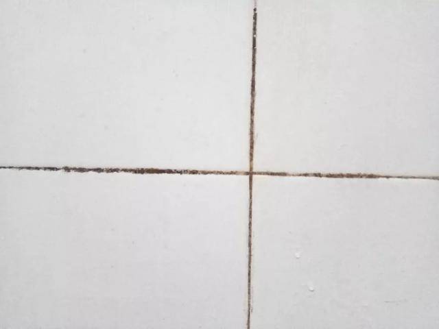 发霉的瓷砖缝隙.