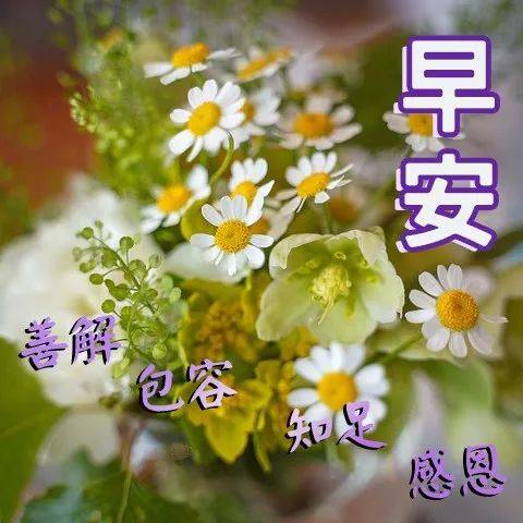 9月4日问候早上好图片带字动态表情 早上好图片问候祝福语句子