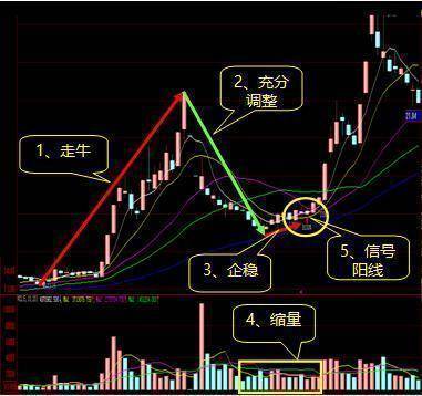 灰色项目-挂机方案股市真正赢利的人：做精一只股，20%资金参与，下跌10%抛，涨20%加仓_手机搜 ...挂机论坛(8)