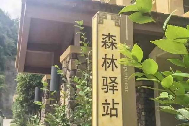 399元打卡韶关经律论全新森林驿站 双人中西式早餐 无限次68池森林氡