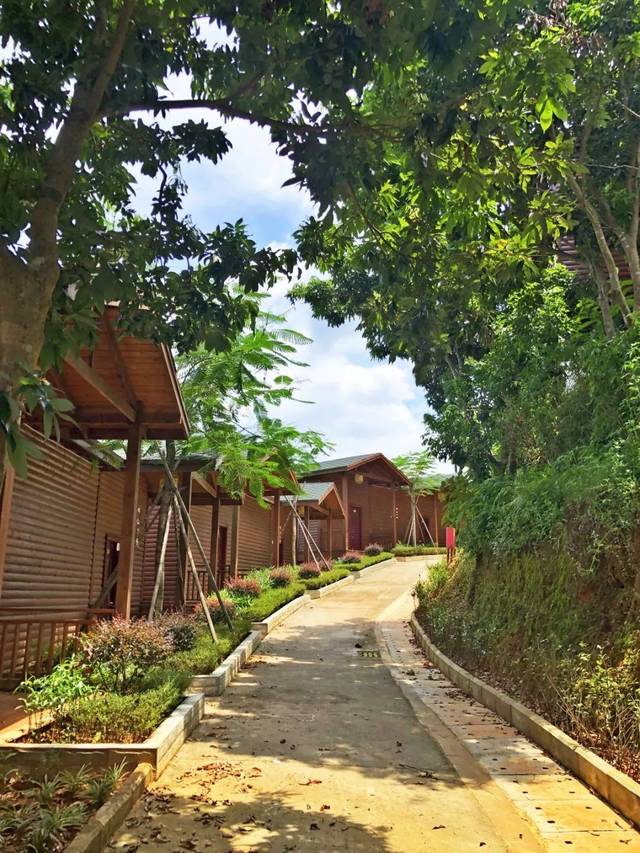 金桦葡萄园度假度假村是惠州市乡村休闲农业旅游发展有限公司旗下的