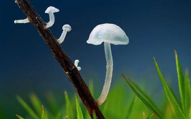 12星座男是真专一,还是装专一?天蝎真专一,双子装花心今天是什么星座图片