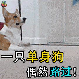 这届年轻人为什么不结婚?答案太扎心了!