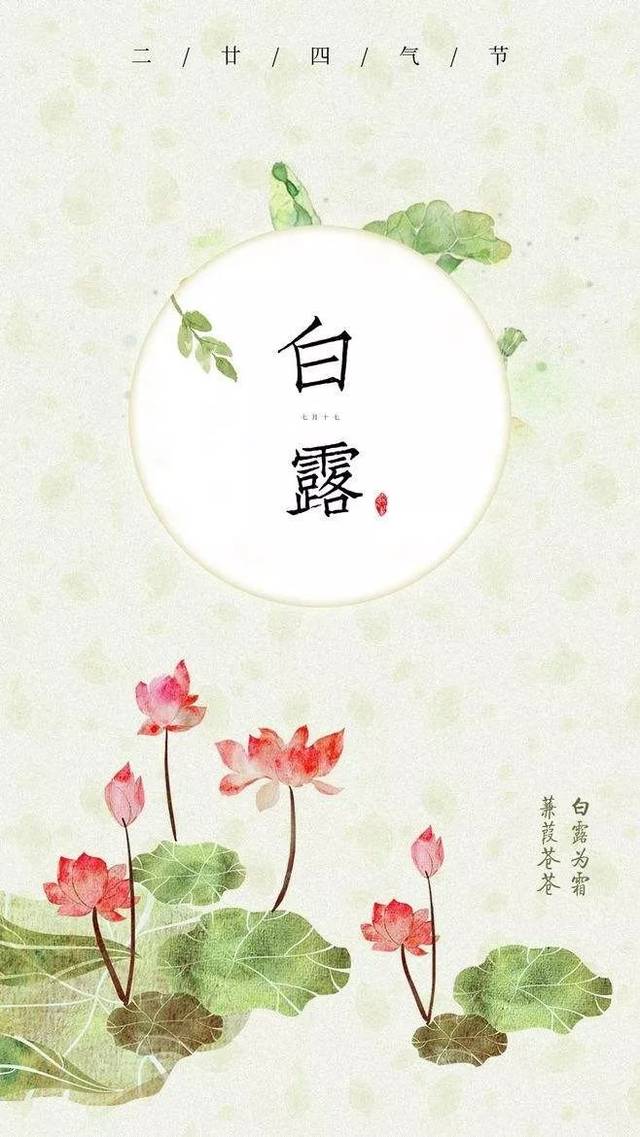 节气课堂丨搭帐篷露营,喝白露茶,采摘水八仙,做鸟巢建