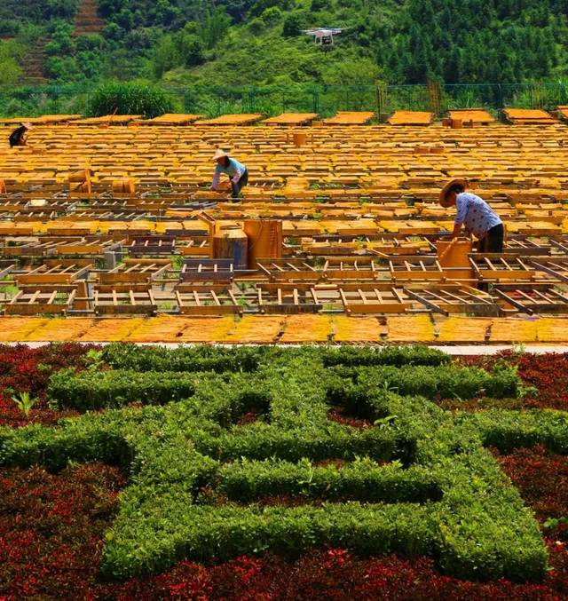 中国香都特色文化旅游示范基地位于永春县达埔镇中部,距离泉南高速和