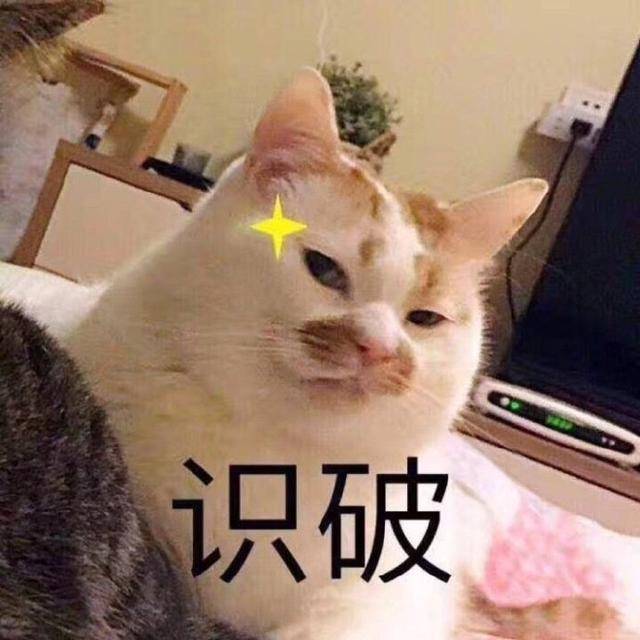 斗图表情包合集|你算什么东西
