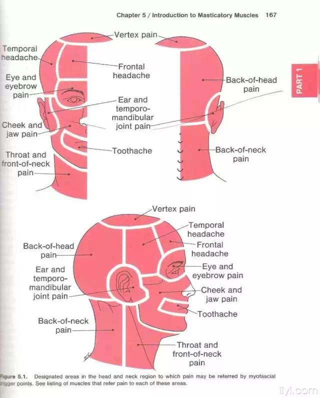 肌筋膜触发点详细图谱——建议收藏
