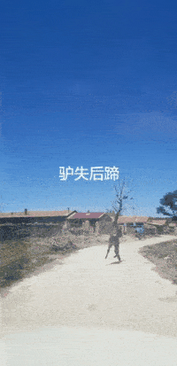 爆笑gif图:很可爱的病娇妹子,谁想要?_手机搜狐网