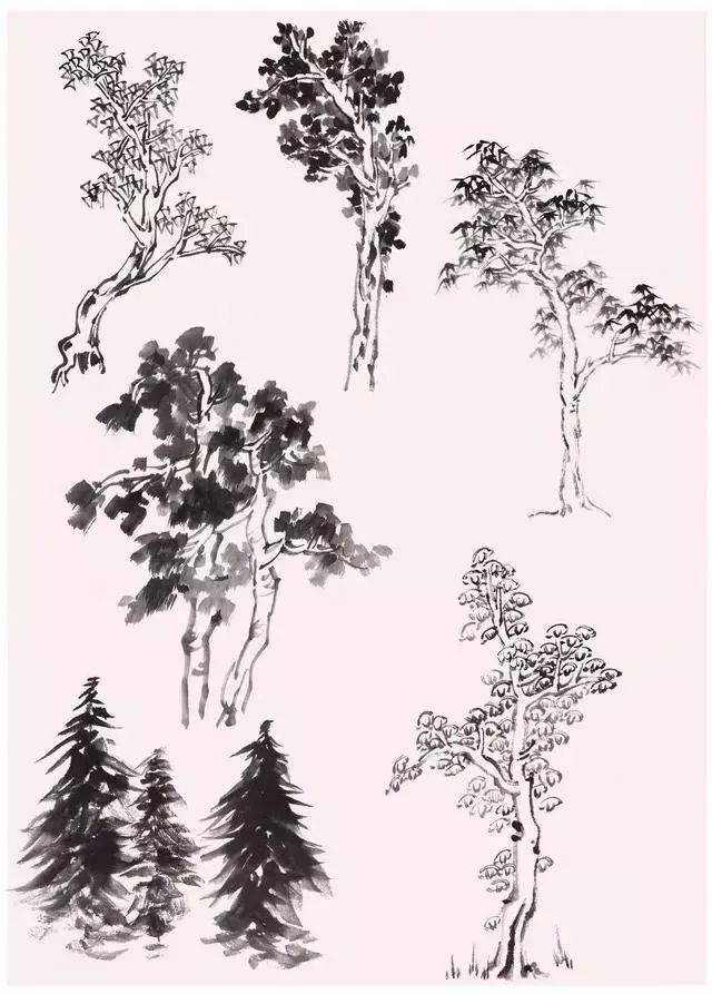 山水画教程|国画山水中各种树的画法及步骤!