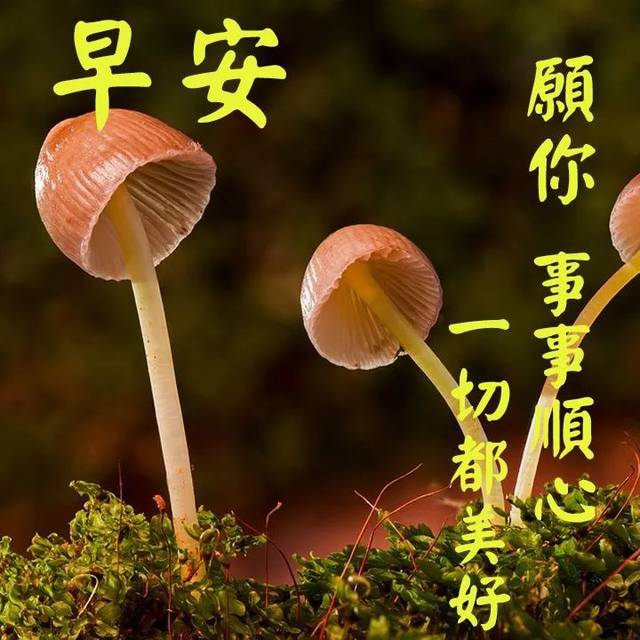 9月6日问候早上好图片带字动态表情 早上好图片问候祝福语句子