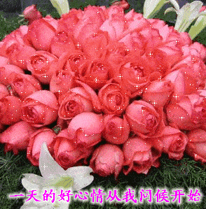 美丽的早晨,灿烂的你