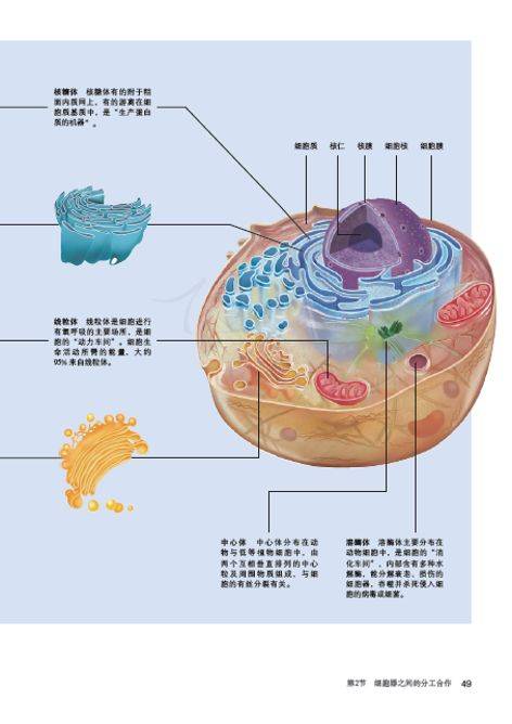 权威!教材编辑全面解读高中生物学新教材!