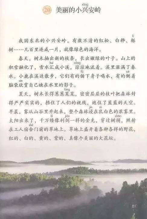 部编版三年级上册第20课美丽的小兴安岭知识点图文解读