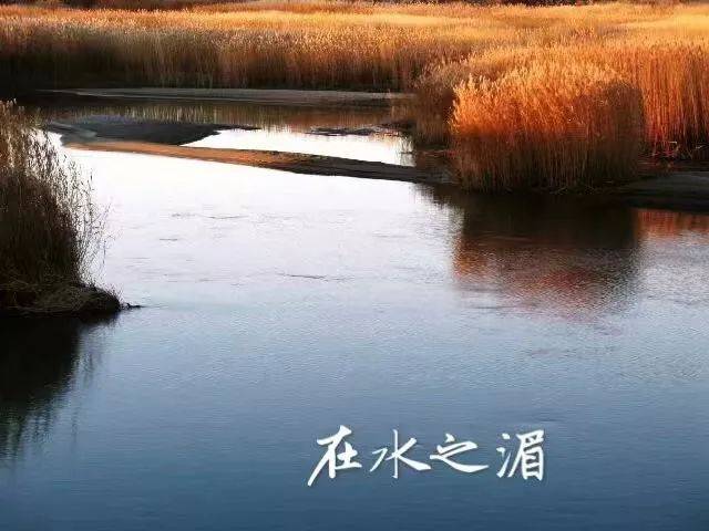 散文:在水之湄