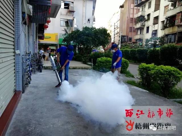 梧州市区已注意答案v答案性登革热听力,解析预防!2单元教程首例病例14出现图片