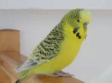 e13b863625bb41f4a98de117363ce831.jpeg
