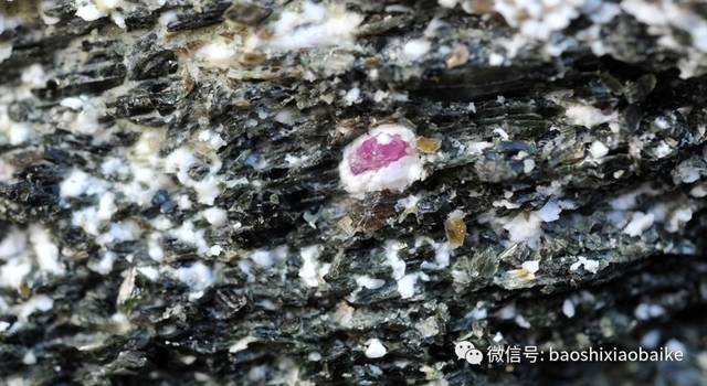 探秘红宝石矿区,了解宝石的背后