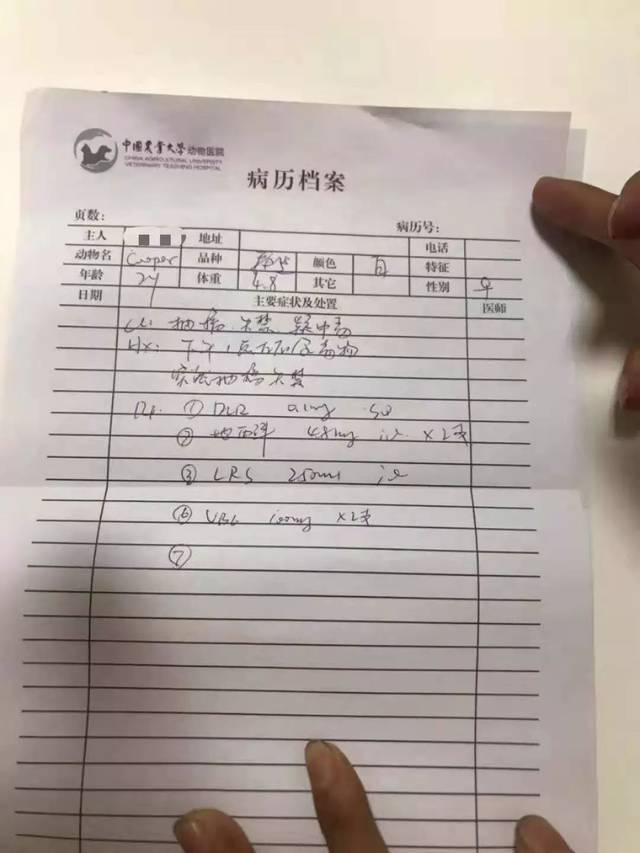 异烟肼投毒再现:投毒人的心,比毒更可怕!