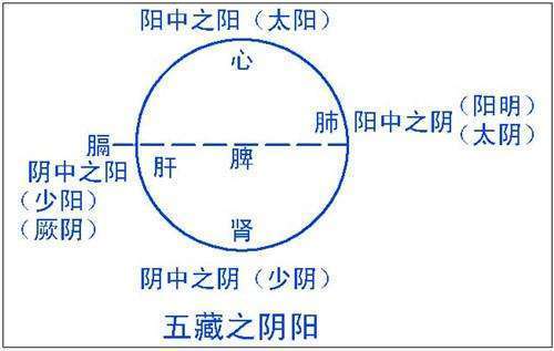 黄帝内经:每天子午流注的循环走向是从肺经开始到肝