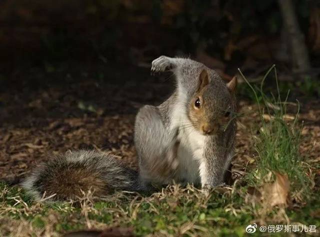 建议ktv在包厢里粘贴一项提示 非饶舌歌手禁止说唱