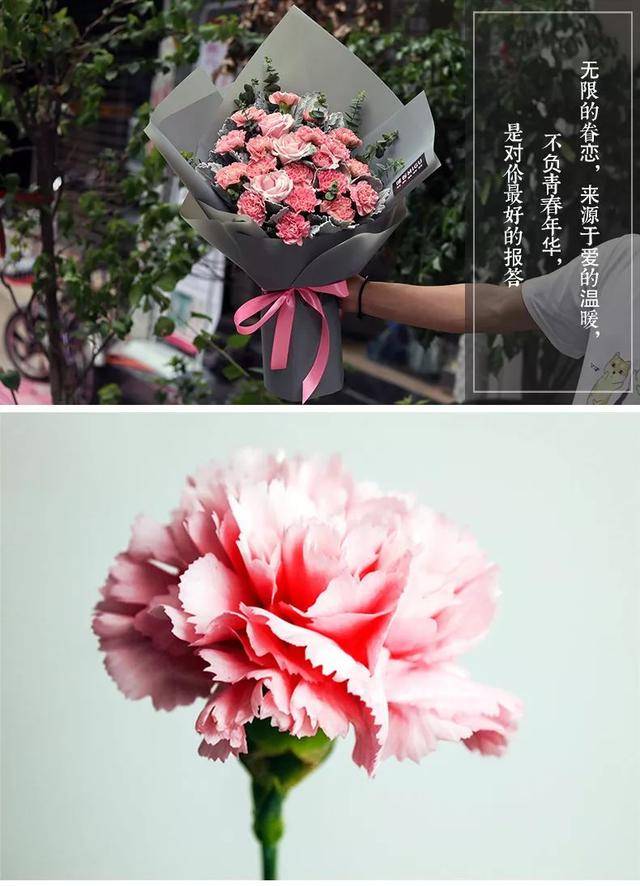 可是你知道教师节送什么花才能表达对老师的教育之恩吗? 1