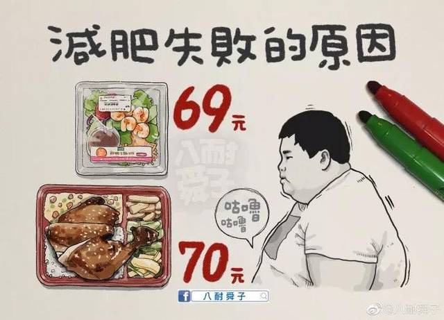 减肥失败的原因